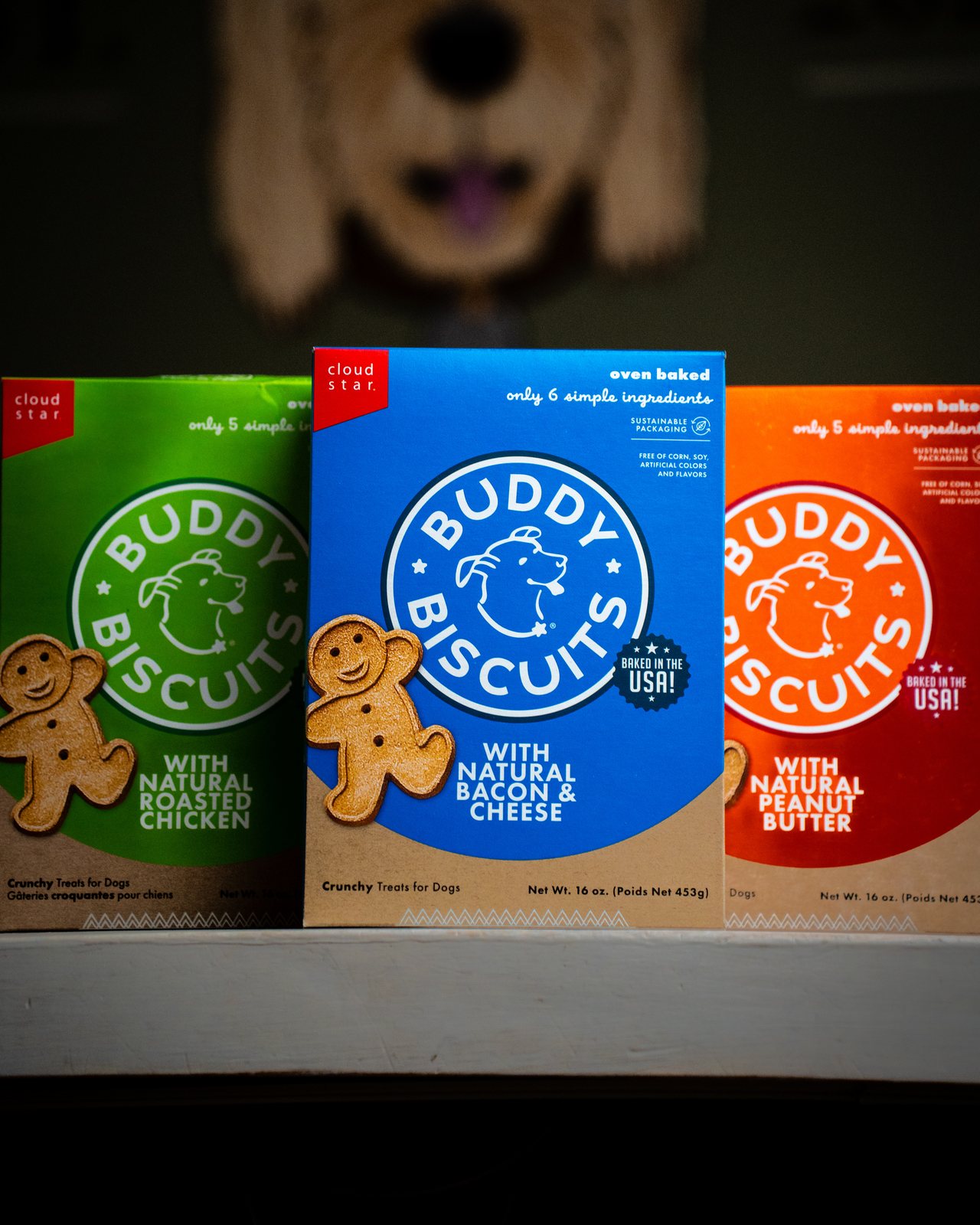 Pet shop product photography — retail brand shoot Hudson Valley