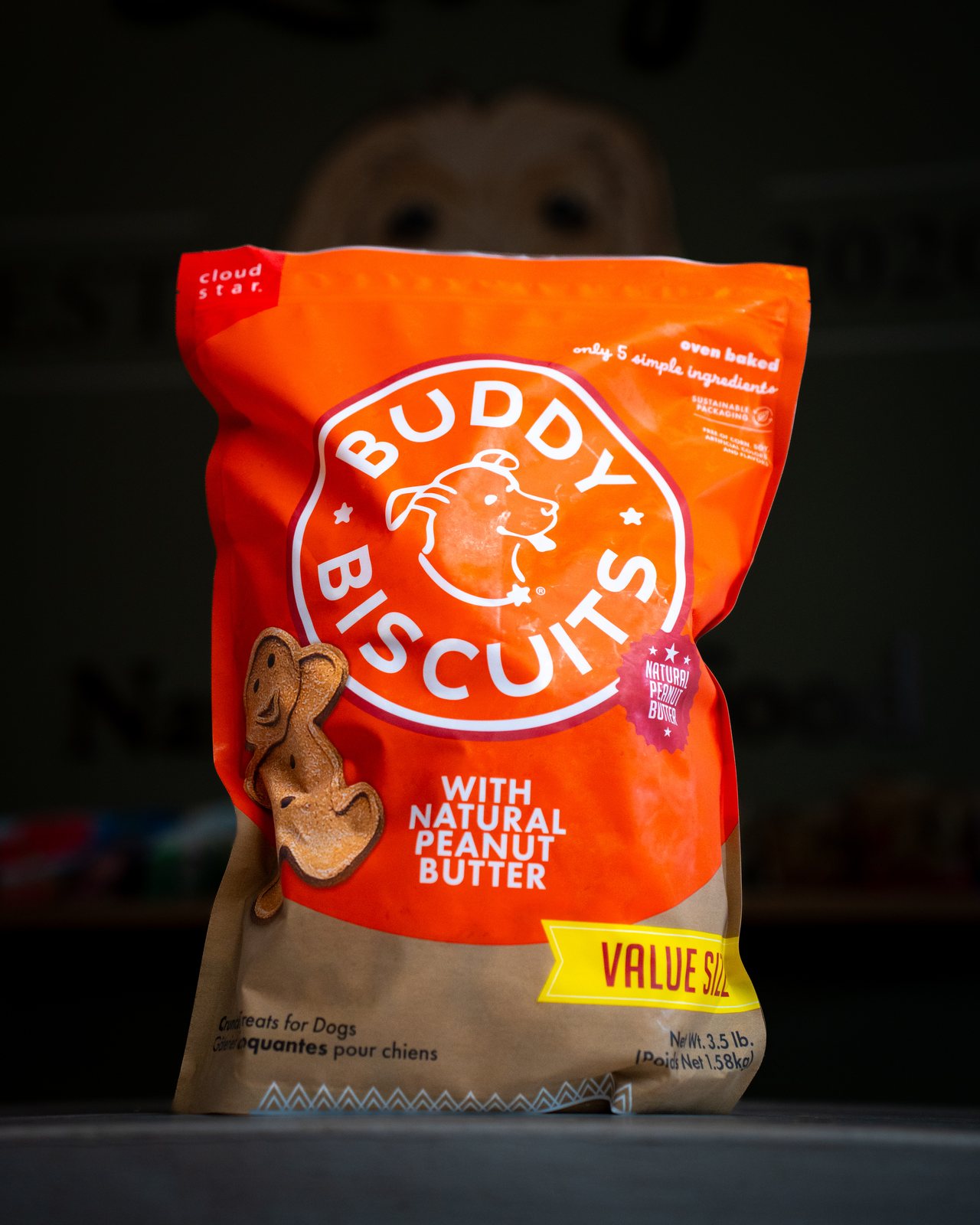 Retail product photography in-store — Hudson Valley pet shop