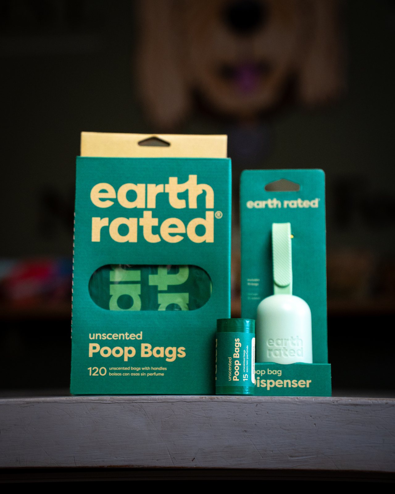 Pet store product display photography — Hudson Valley